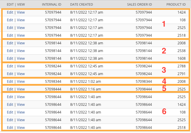 Combine Many Rows into One: Mastering NetSuite's NS_CONCAT Function